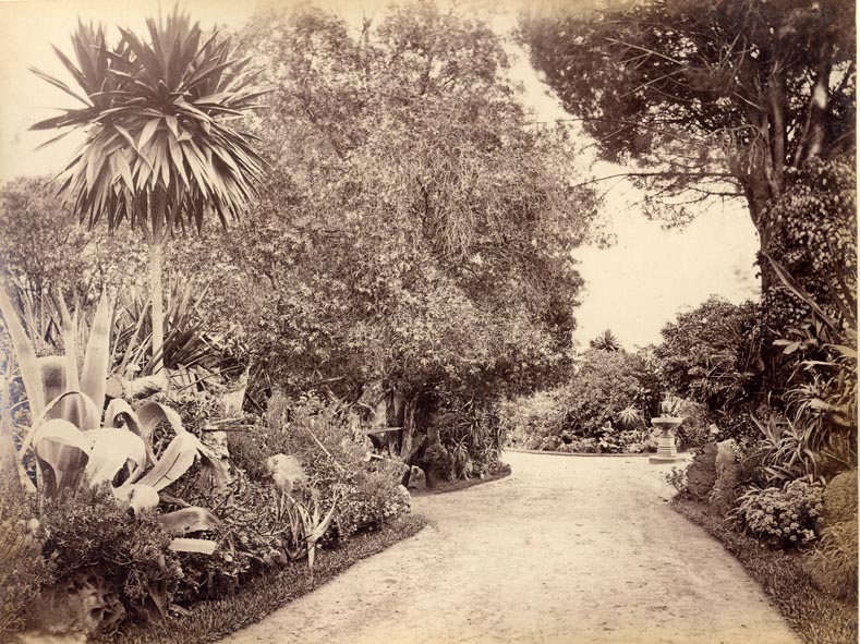 [Botanic Garden, Sydney].