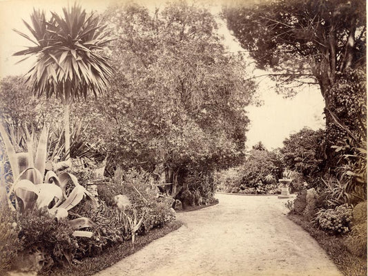 [Botanic Garden, Sydney].
