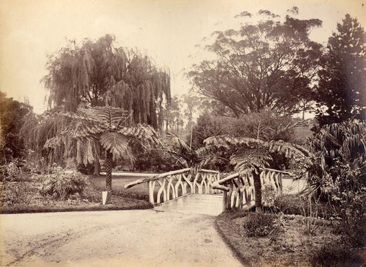 [Botanic Garden, Sydney].