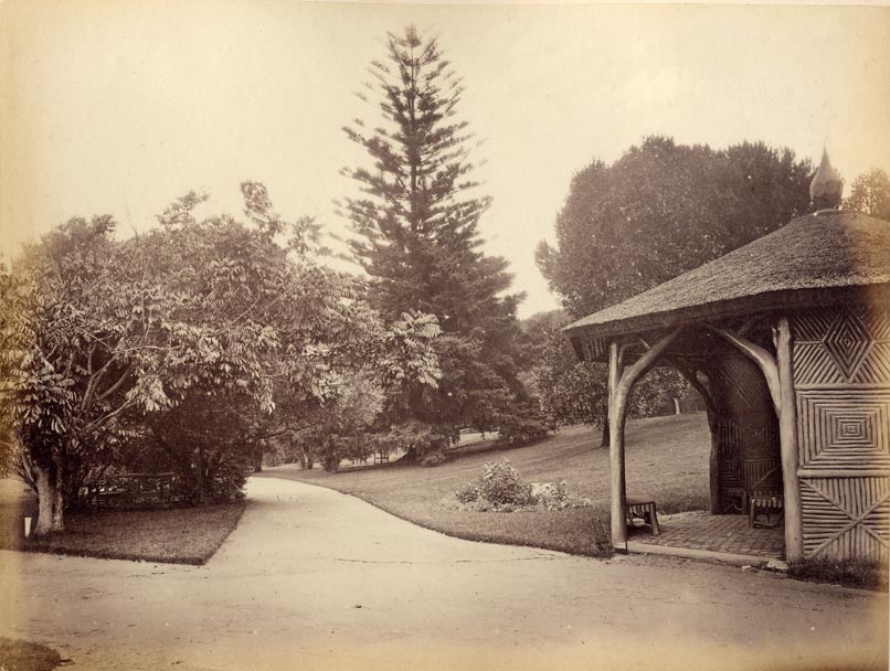 [Botanic Garden, Sydney].