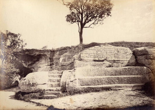 [Botanic Garden, Sydney].