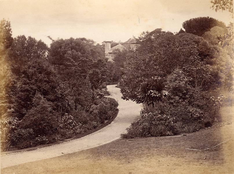 [Botanic Gardens, Sydney].