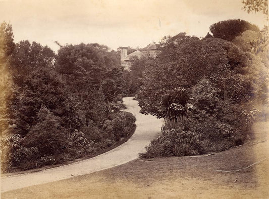 [Botanic Gardens, Sydney].