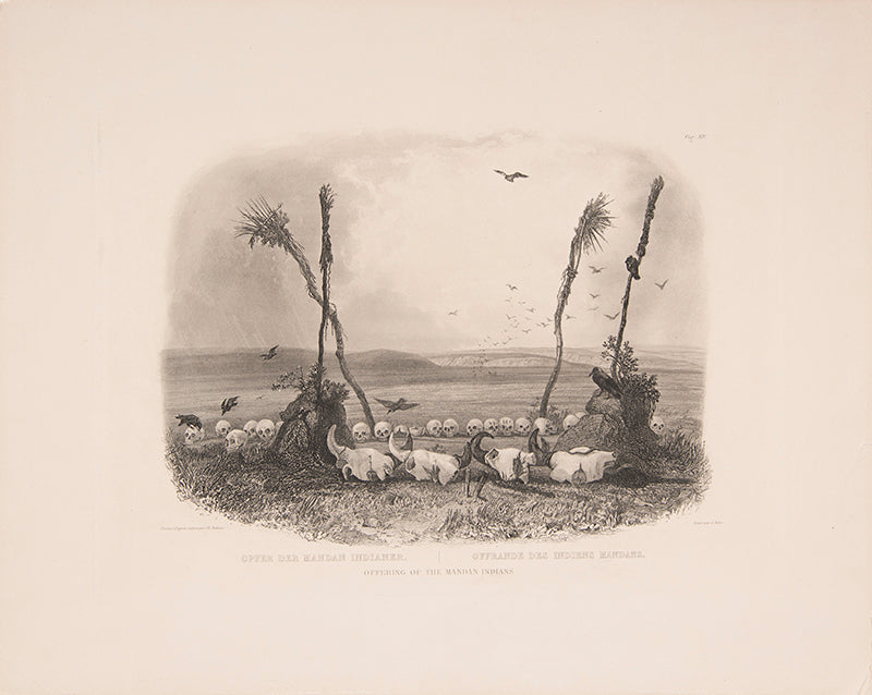 From the illustrated 'Travels in the Interior of North America between 1832-34' by Prince Maximilian Alexander Philipp Zu Wied-Neuweid