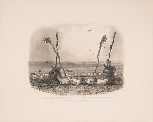 From the illustrated 'Travels in the Interior of North America between 1832-34' by Prince Maximilian Alexander Philipp Zu Wied-Neuweid