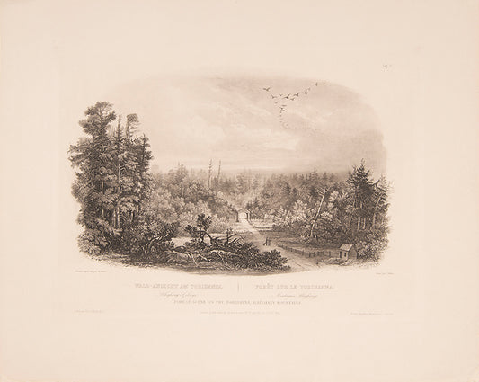 From the illustrated 'Travels in the Interior of North America between 1832-34' by Prince Maximilian Alexander Philipp Zu Wied-Neuweid