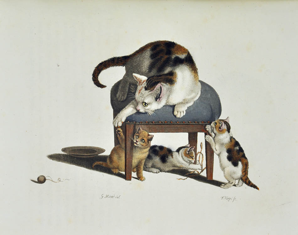 Fine copy of the complete first series of this periodical, illustrated with lovely hand-coloured plates showing Swiss landscapes &c., Zurich, 1805-40.