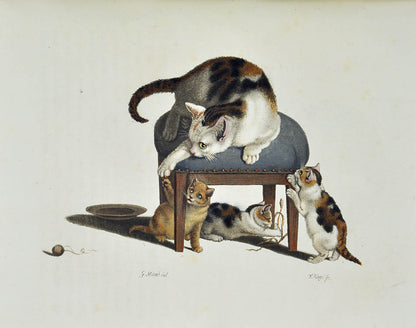 Fine copy of the complete first series of this periodical, illustrated with lovely hand-coloured plates showing Swiss landscapes &c., Zurich, 1805-40.