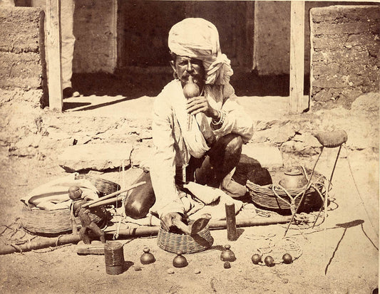 Snake Charmer.