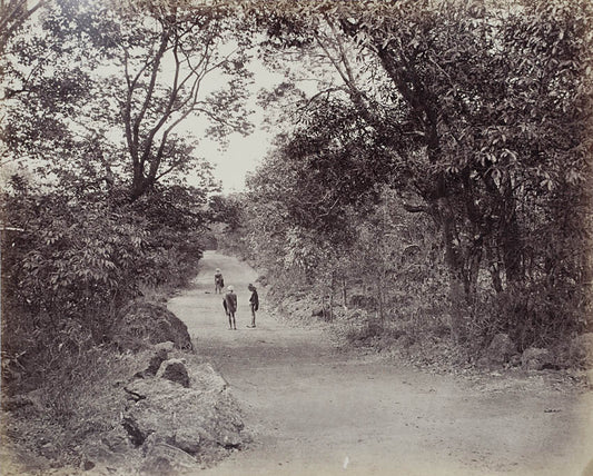 Matheran, near Mumbai (Bombay), Maharastra.