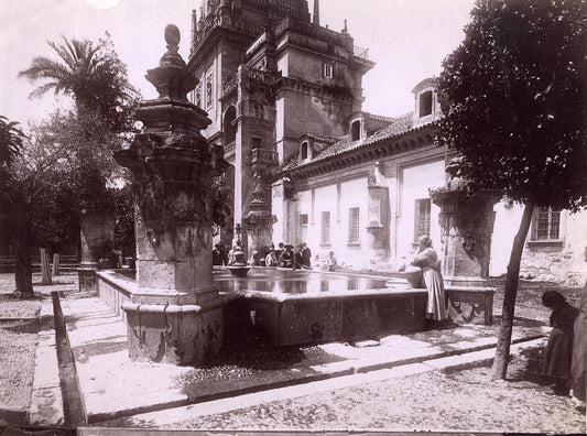Cathedral of Cordoba.