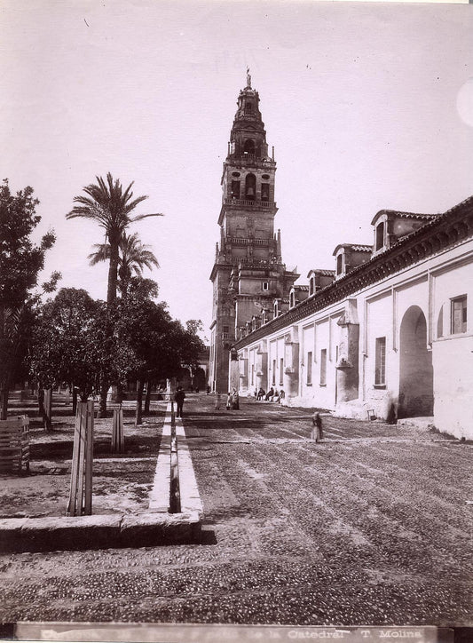 [Tower and patio of the Cathedral in Cordoba].