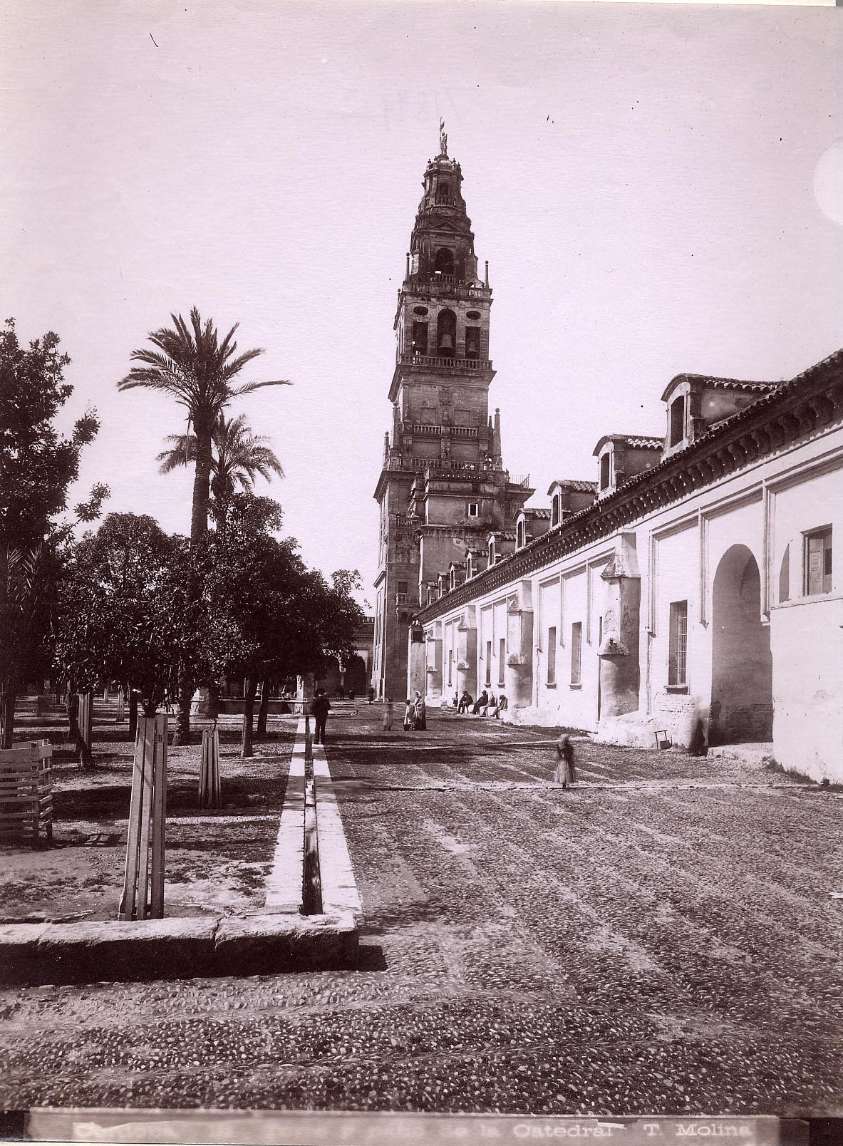 [Tower and patio of the Cathedral in Cordoba].
