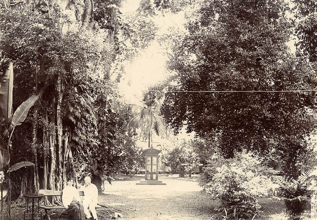 [Bogor palace, botanical gardens].