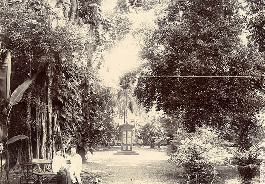 [Bogor palace, botanical gardens].