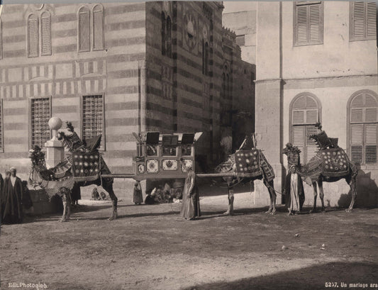 Un mariage arabe. [Arabic wedding].