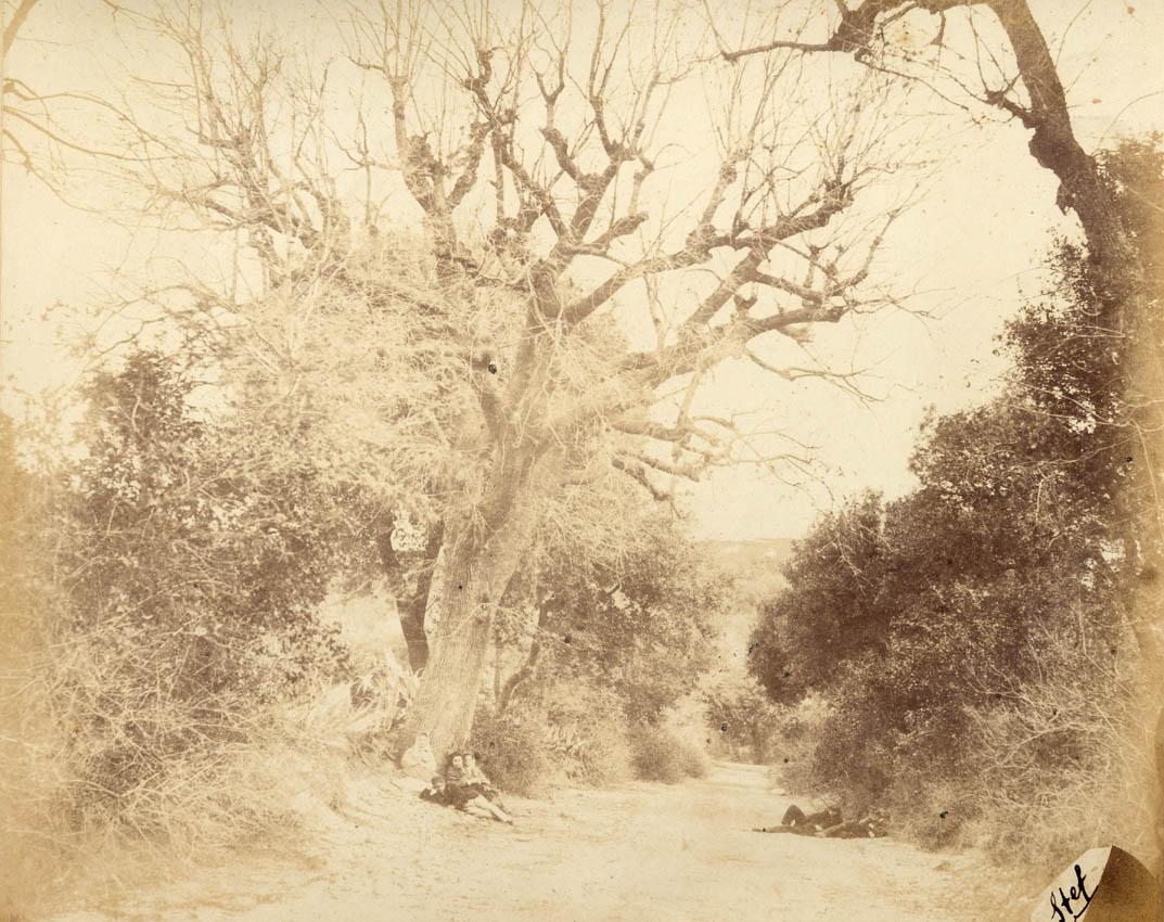 [Rural scene, Montalegre, Spain].