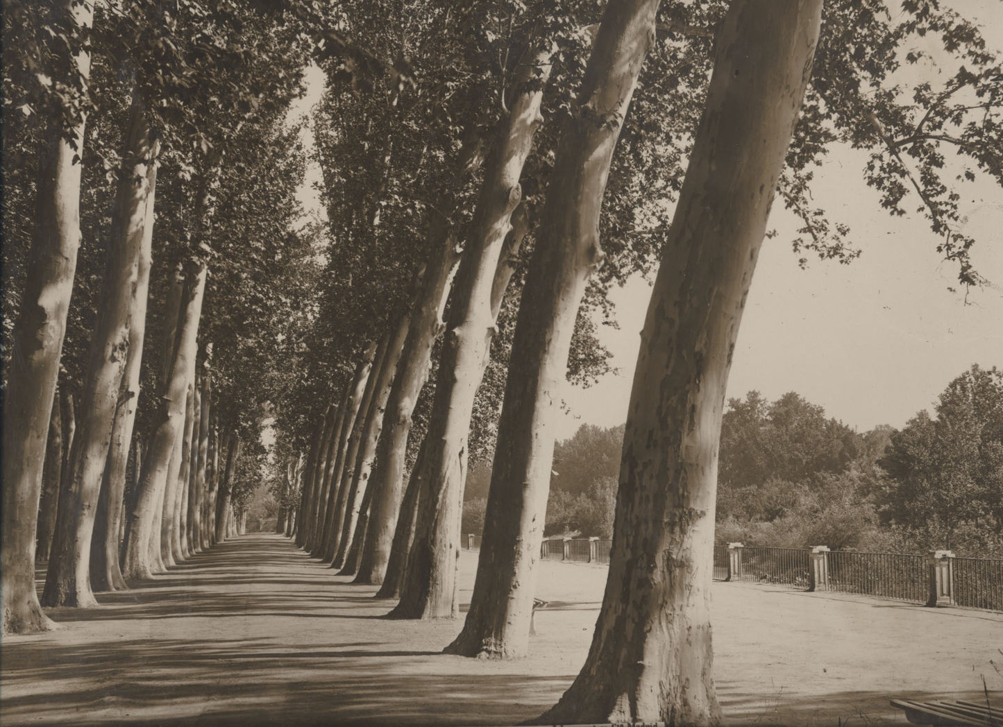 [Aranjuez, Spain].