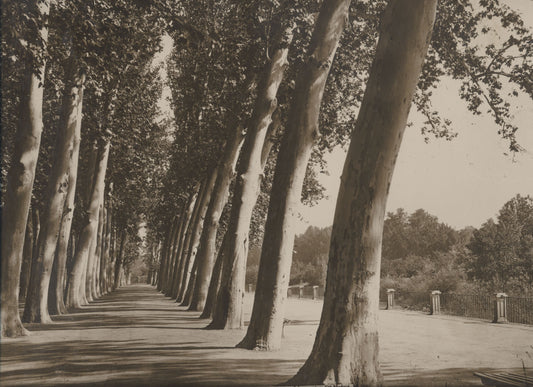 [Aranjuez, Spain].