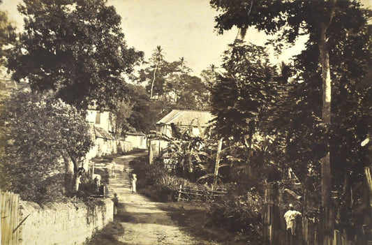 Dominica.