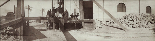 [Museum at Gizeh, Cairo].