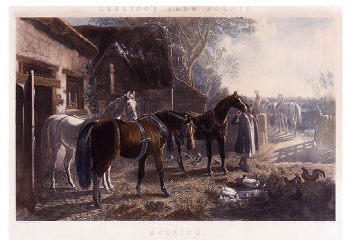 Herring's Farm Scenes: [1] Morning. [2] Evening. [3] Noon. [4] Night.