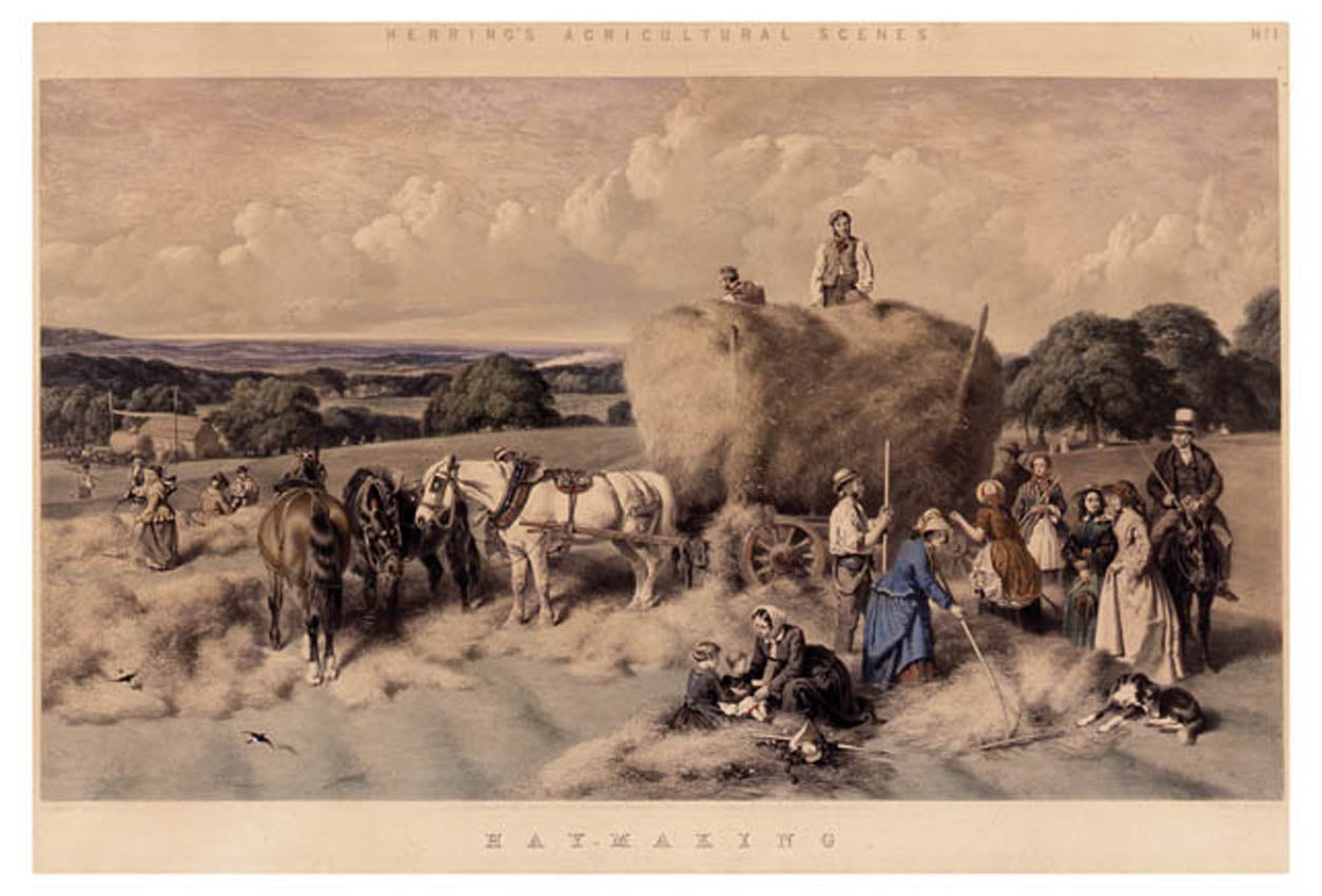 Herring's Agricultural Scenes: [1] Hay-Making.  [2] Hop Picking. [3] Ploughing. [4] Agricultural Scenes.