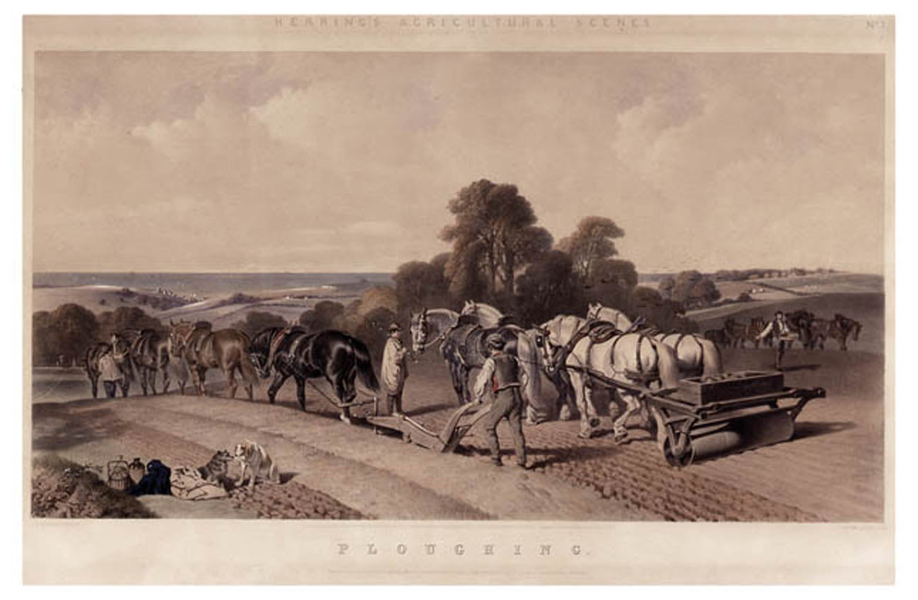 Herring's Agricultural Scenes: [1] Hay-Making.  [2] Hop Picking. [3] Ploughing. [4] Agricultural Scenes.