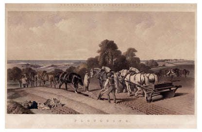 Herring's Agricultural Scenes: [1] Hay-Making.  [2] Hop Picking. [3] Ploughing. [4] Agricultural Scenes.