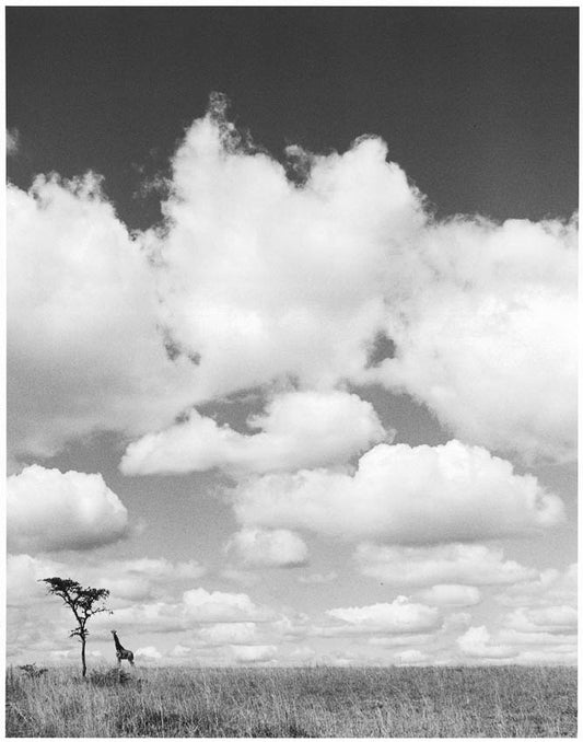 Tanzania.