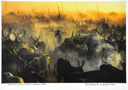 Cattle camp at sunset, Southern Sudan.