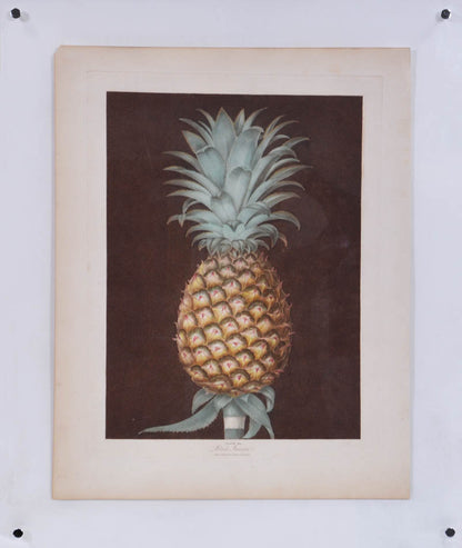 A Pair of Pineapples.