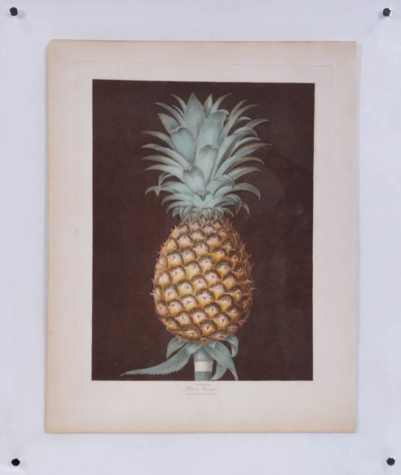 Aquatints with stipple-engraving, part-printed in colour and finished by hand, in fine condition with strong fresh colour.