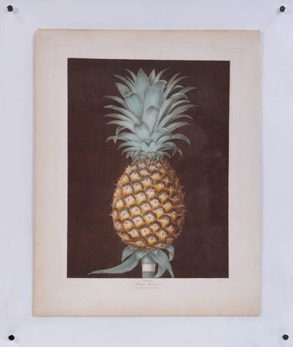 Aquatints with stipple-engraving, part-printed in colour and finished by hand, in fine condition with strong fresh colour.