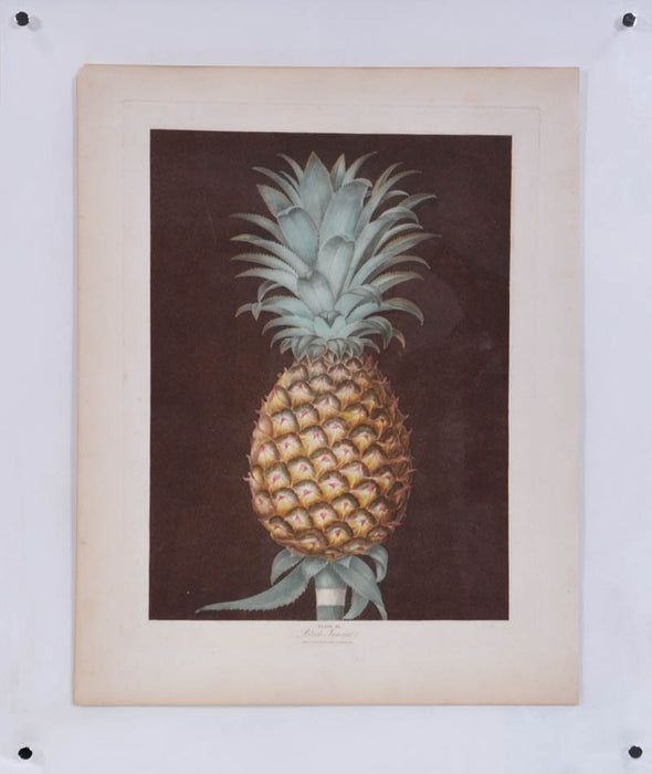 A Pair of Pineapples.