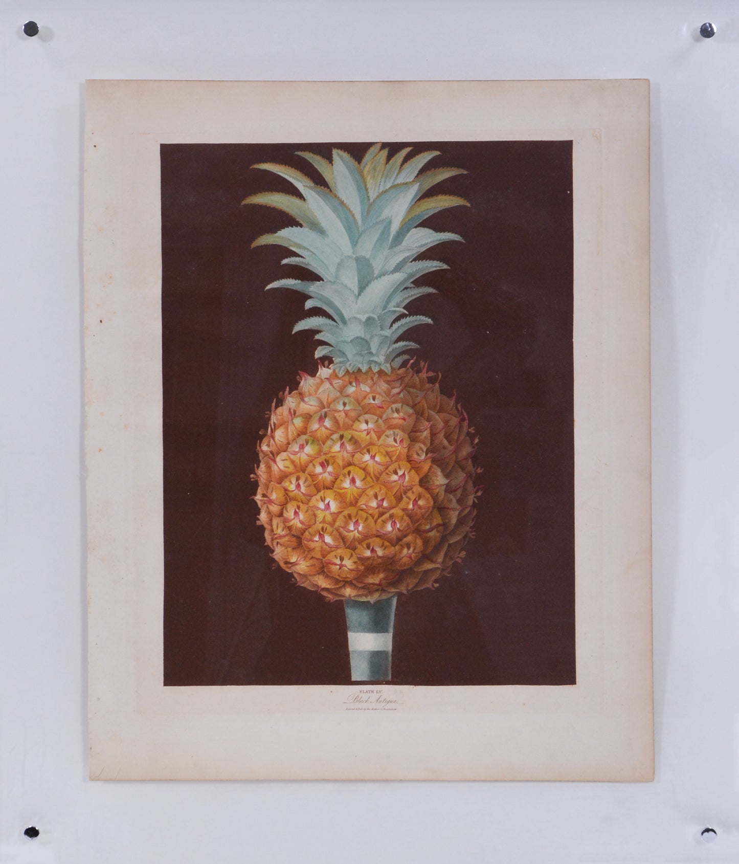 Aquatints with stipple-engraving, part-printed in colour and finished by hand, in fine condition with strong fresh colour.