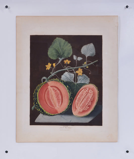 Aquatints with stipple-engraving, part-printed in colour and finished by hand, in fine condition with strong fresh colour.