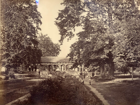 Shalimar from the lake, Srinagar.