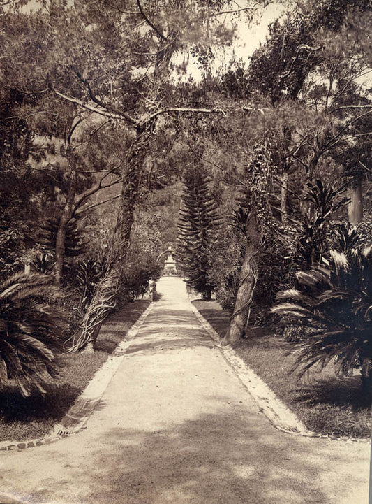 The Cemetery, Hong Kong.
