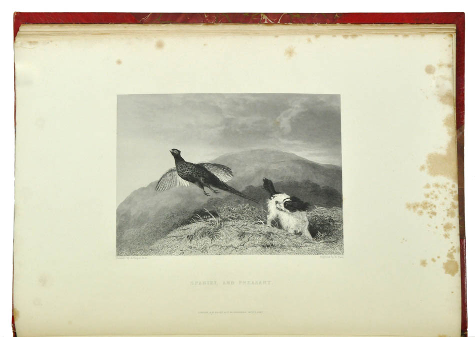 A very handsome copy of the folio volume by Charles Apperley, 21 engraved plates, title and vignettes, red half morocco for Hatchards, gilt sporting motifs