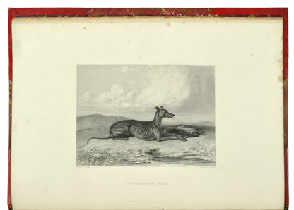 A very handsome copy of the folio volume by Charles Apperley, 21 engraved plates, title and vignettes, red half morocco for Hatchards, gilt sporting motifs