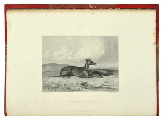 A very handsome copy of the folio volume by Charles Apperley, 21 engraved plates, title and vignettes, red half morocco for Hatchards, gilt sporting motifs
