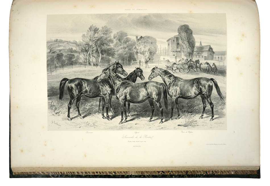 Impressive and uncommon work on French horse breeding at the beginning of Napoleon III's reign -the first edition well bound.
