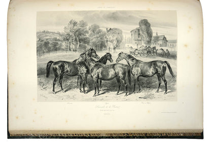 Impressive and uncommon work on French horse breeding at the beginning of Napoleon III's reign -the first edition well bound.
