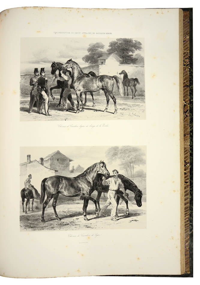 Impressive and uncommon work on French horse breeding at the beginning of Napoleon III's reign -the first edition well bound.