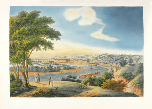 View of Lyons and the Rhône,