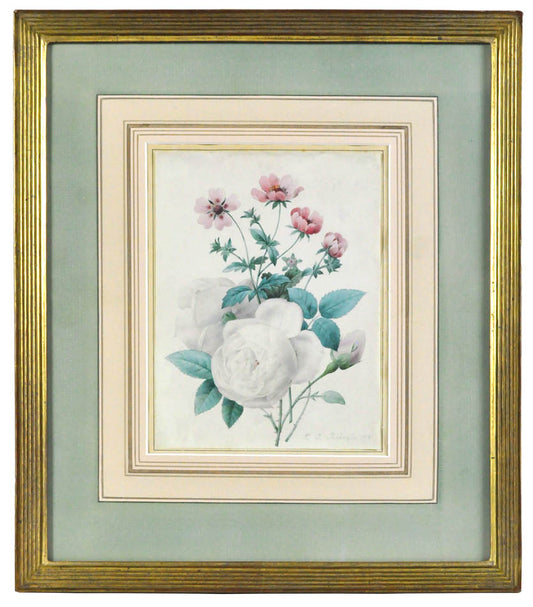 A beautiful watercolour on vellum by the greatest flower painter of all time.<br />