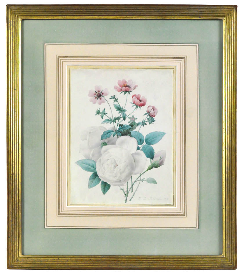 <strong>A beautiful watercolour on vellum by the greatest flower painter of all time.<br /></strong>