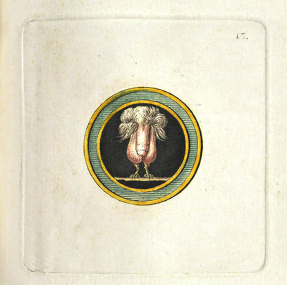 Hancarville catalogued Sir William Hamilton's collection of ancient vases in Naples from which it is likely he took some inspiration for these images