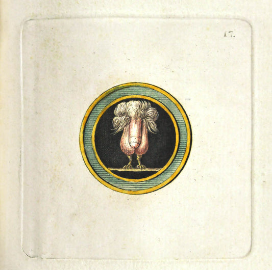 Hancarville catalogued Sir William Hamilton's collection of ancient vases in Naples from which it is likely he took some inspiration for these images